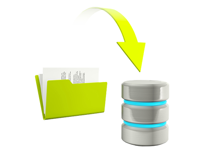 Data Backups